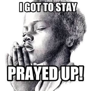 Meet your Posher, Joy